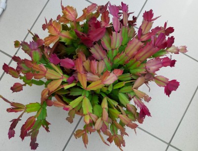 20190930_161729-a.jpg