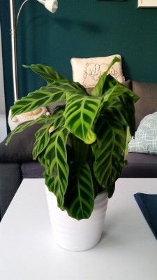 2019-10-17 17.44.11.jpg