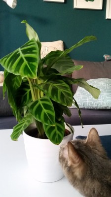 2019-10-17 17.44.21.jpg
