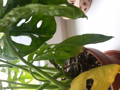 20191017_120911.jpg
