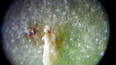20191027_142225.jpg