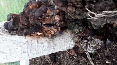 20191027_162638.jpg
