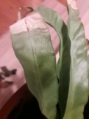 20191126_225213.jpg