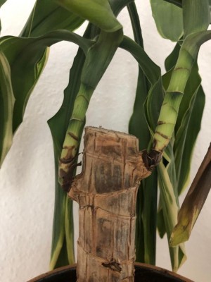 WhatsApp Image 2019-12-04 at 10.34.29(1).jpeg