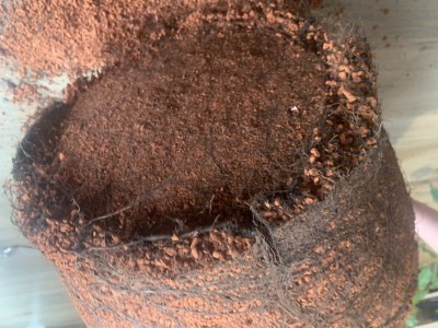 A54AE3BD-FAE5-49F7-83D1-E85853868321.jpeg