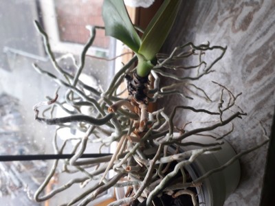 20191215_131934.jpg