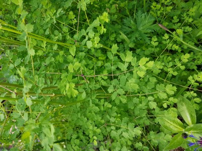 20190530_120114.jpg
