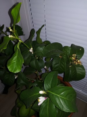 IMG_20191119_180713.jpg