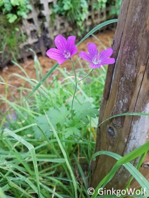 20190923_143217.jpg
