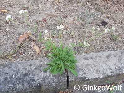 20180818_185230.jpg