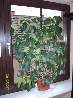 SD531545.JPG