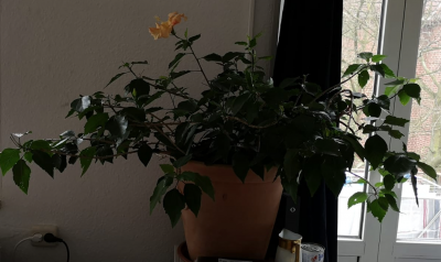 Foto 2.png