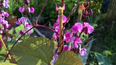 WP_20160806_17_48_12_Pro.jpg