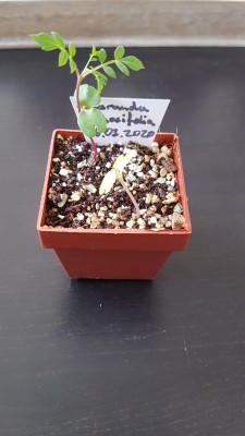 20200410_104055.jpg