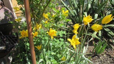 IMG_6244.JPG