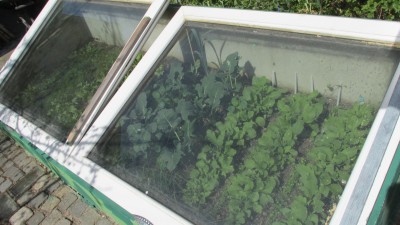 IMG_6253.JPG