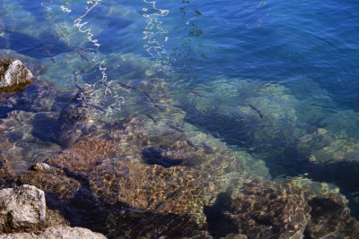 wasser1.jpg