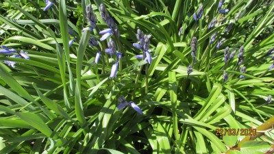 IMG_6266.JPG