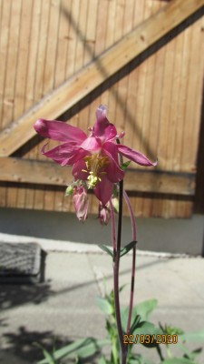 IMG_6268.JPG