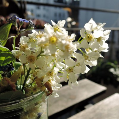 DSCN4422.JPG