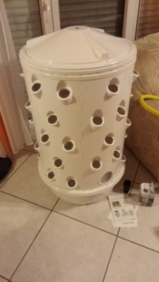 IMG-20200429-WA0007.jpeg