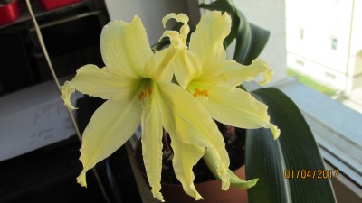 IMG_5835.JPG