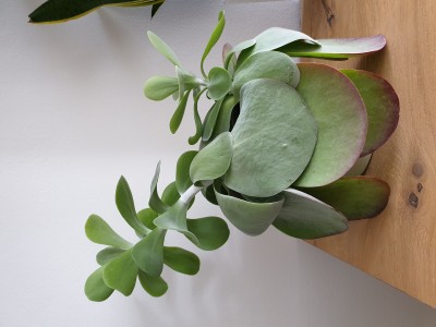 20190814_134016.jpg