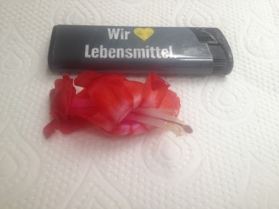 image.jpeg