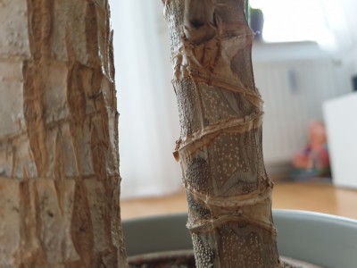 20200511_152010.jpg