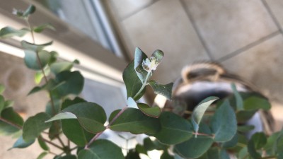 F0440D6A-0496-4FCB-868B-760A45A866AF.jpeg