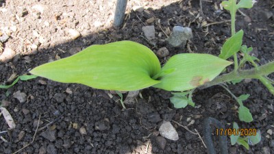 IMG_6326.JPG