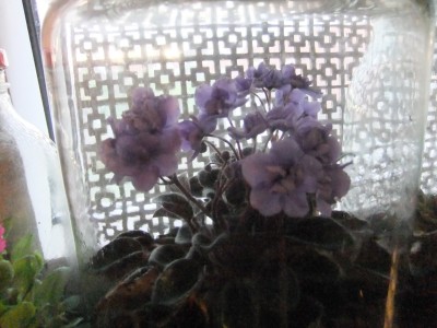 DSCF3168.JPG
