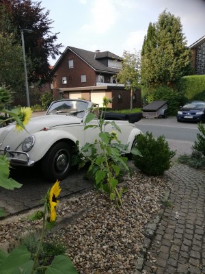 Käfer_Cab_small.jpg