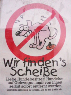 hund1q.jpg