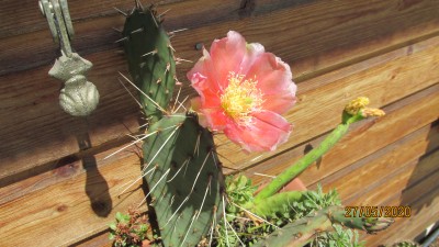 IMG_6405.JPG