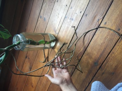 AA035491-B38C-442F-9D2C-E0AC64A53D51.jpeg