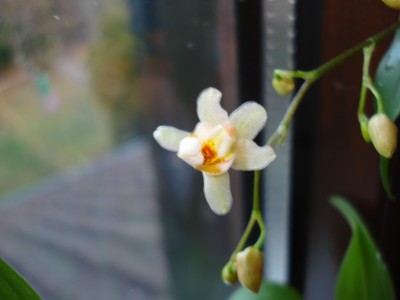 bilder Dez.2007 038.jpg