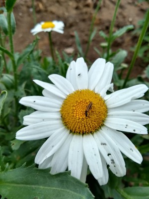 IMG_20200711_164412601_HDR.jpg