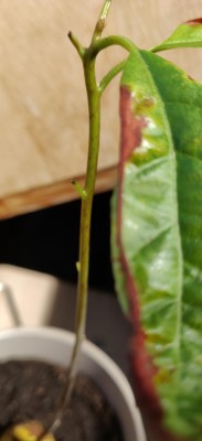 13_07_04.jpg