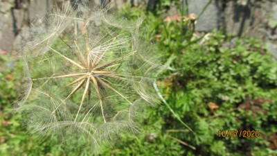IMG_6456.JPG