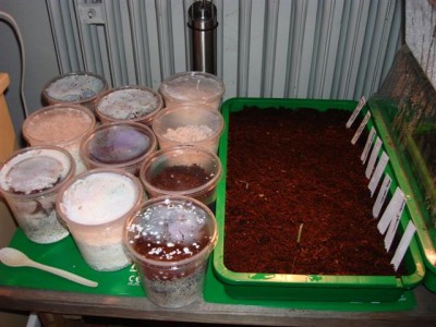 DSC00007 (Custom).JPG