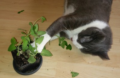 20200815_133934.jpg