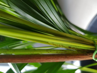 20200906_141837.jpg