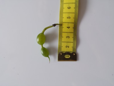 20201004_134139.jpg