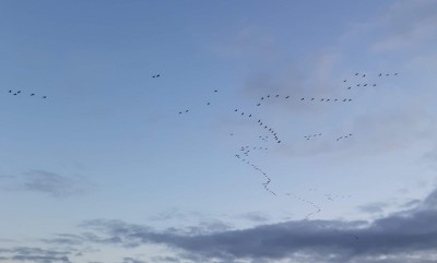 20201011_181425.jpg