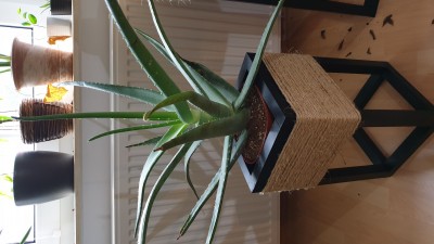 20201022_170807.jpg