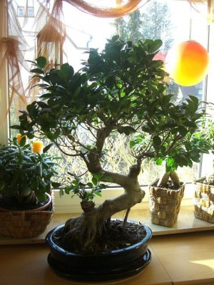 Bilderkalender 005.jpg