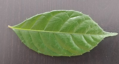 20201031_104557.jpg