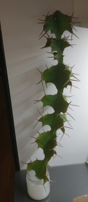 20201102_205628.jpg