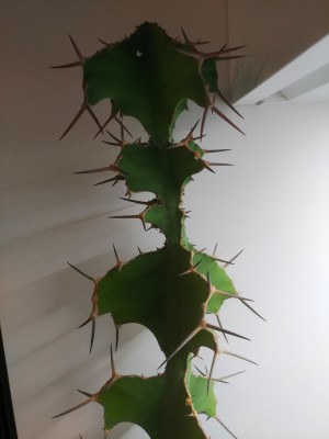 20201102_205640.jpg